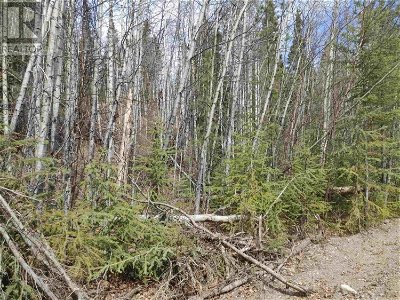 Image #1 of Commercial for Sale at Lot 8 Ager Road, Burns Lake, British Columbia