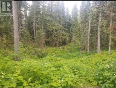 Image #1 of Commercial for Sale at Dl 5489 Penny, Dome Creek, British Columbia