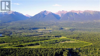 Image #1 of Commercial for Sale at Dl 6011 Carr Road, Valemount, British Columbia