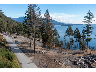 Commercial for Sale in British-columbia