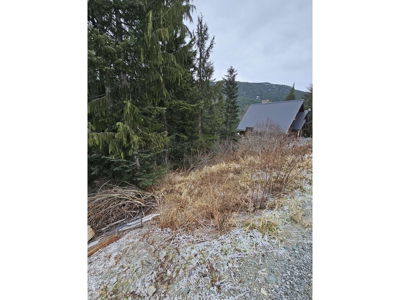 Commercial for Sale in British-columbia