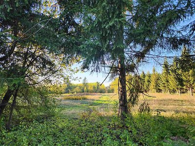 Image #1 of Commercial for Sale at Lot 6 Telegraph Trail, Langley, British Columbia