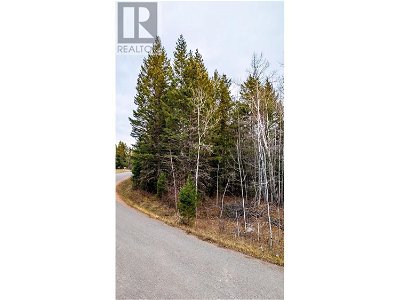 Image #1 of Commercial for Sale at Lot 19 Moneeyaw Road, 108 Mile Ranch, British Columbia