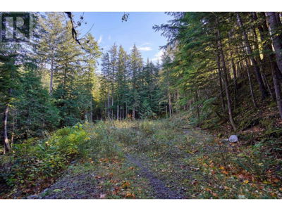 Commercial for Sale in British-columbia