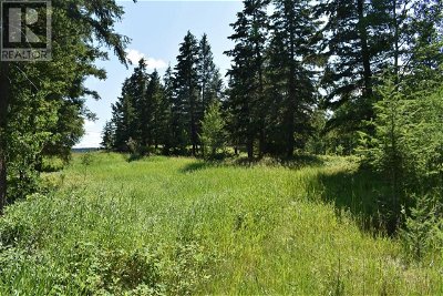 Image #1 of Commercial for Sale at 397 Woodland Drive, Williams Lake, British Columbia