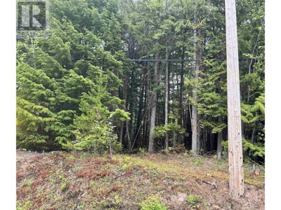 Commercial for Sale in British-columbia