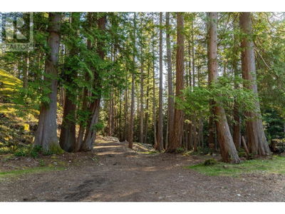 Commercial for Sale in British-columbia