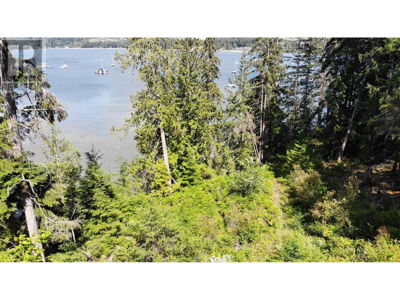 Commercial for Sale in British-columbia