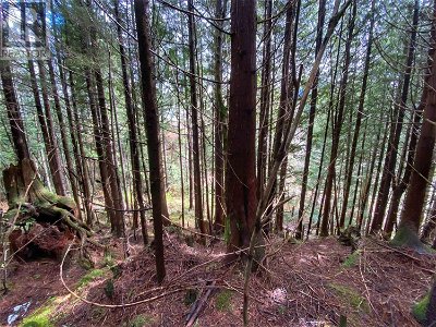 Image #1 of Commercial for Sale at Lots 3 4 5 E 9th Avenue, Prince Rupert, British Columbia