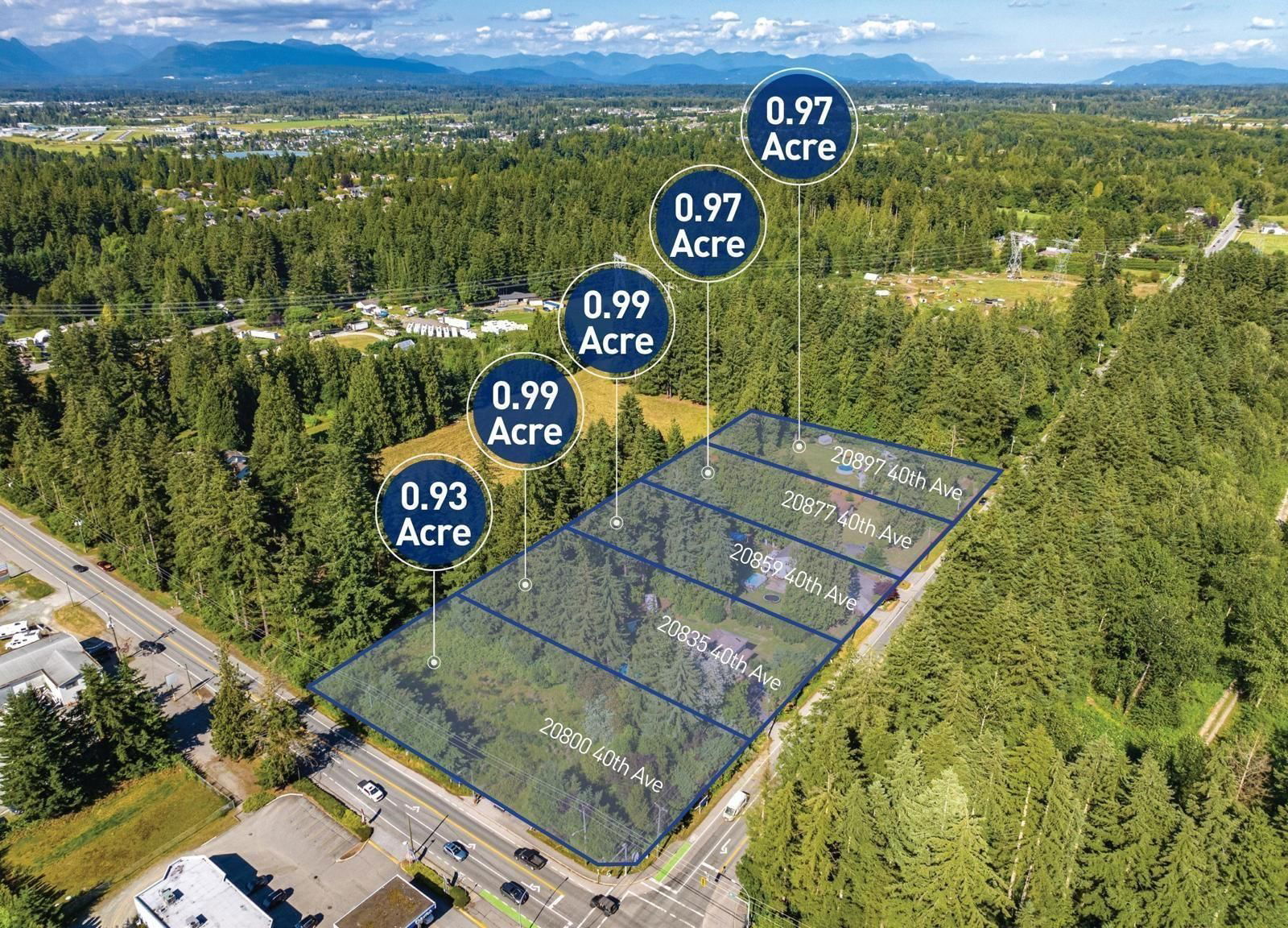 Primary Property View