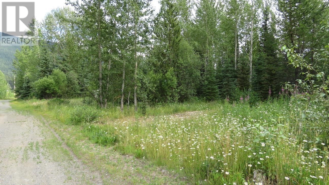 LOT 4&5 E ROAD Image 6