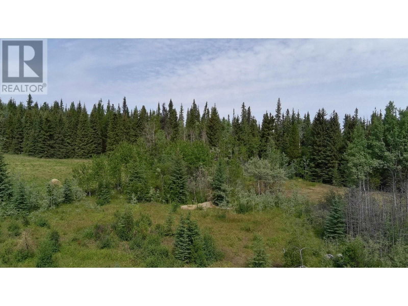 660 SPARKS Road Burns Lake British Columbia, V0J 1R0 - Vacant Land For Sale