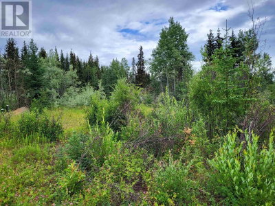 660 SPARKS Road | Burns Lake British Columbia | Slide Image Eleven