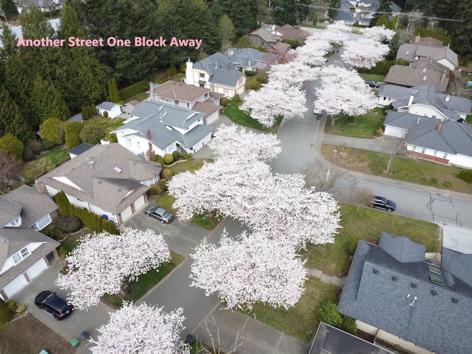 14897 22 Image 38