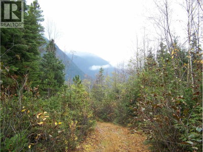 289 MACKENZIE 20 Highway | Bella Coola British Columbia | Slide Image Thirteen