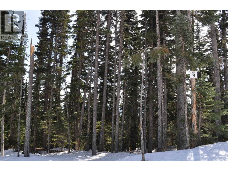 9 ALPINE Way Smithers British Columbia, V0J 2N0 - Vacant Land For Sale