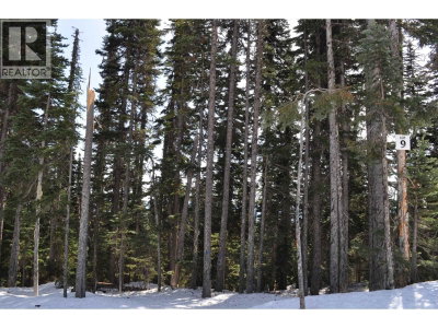 9 ALPINE Way | Smithers British Columbia | Slide Image Two