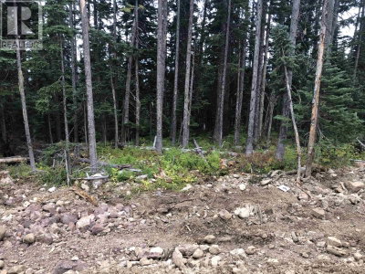 9 ALPINE Way | Smithers British Columbia | Slide Image Four