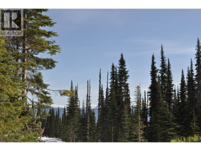 ST LT 7 ALPINE Way | Smithers British Columbia | Slide Image One