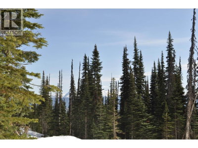 ST LT 7 ALPINE Way | Smithers British Columbia | Slide Image Two
