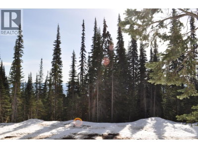 ST LT 7 ALPINE Way | Smithers British Columbia | Slide Image Three