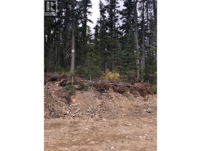 ST LT 7 ALPINE Way | Smithers British Columbia | Slide Image Four