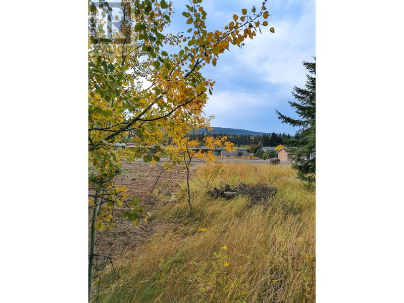 Tertiary Property View