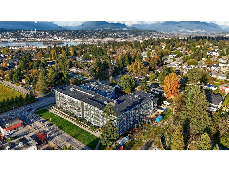 Tertiary Property View