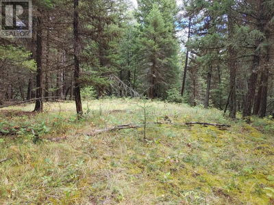 Commercial for Sale in British-columbia