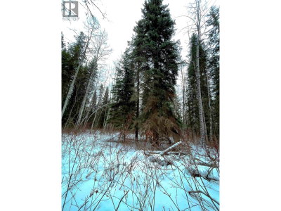  16 Highway | Smithers British Columbia | Slide Image Twenty-two