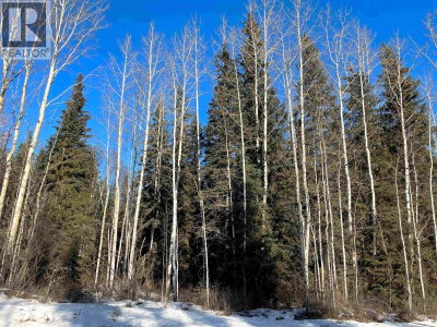  16 Highway | Smithers British Columbia | Slide Image Four