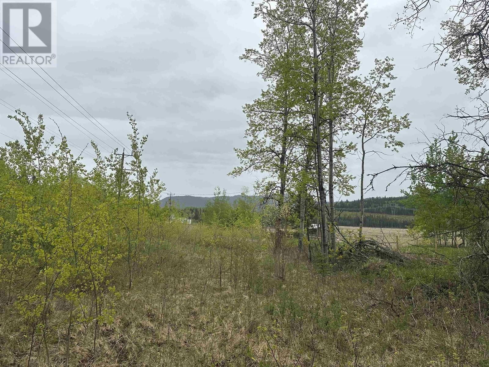 Primary Property View