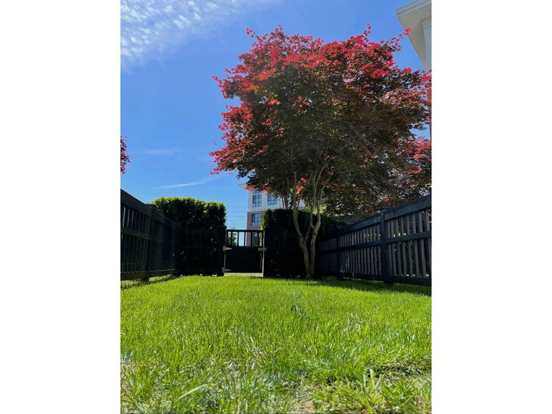 Tertiary Property View