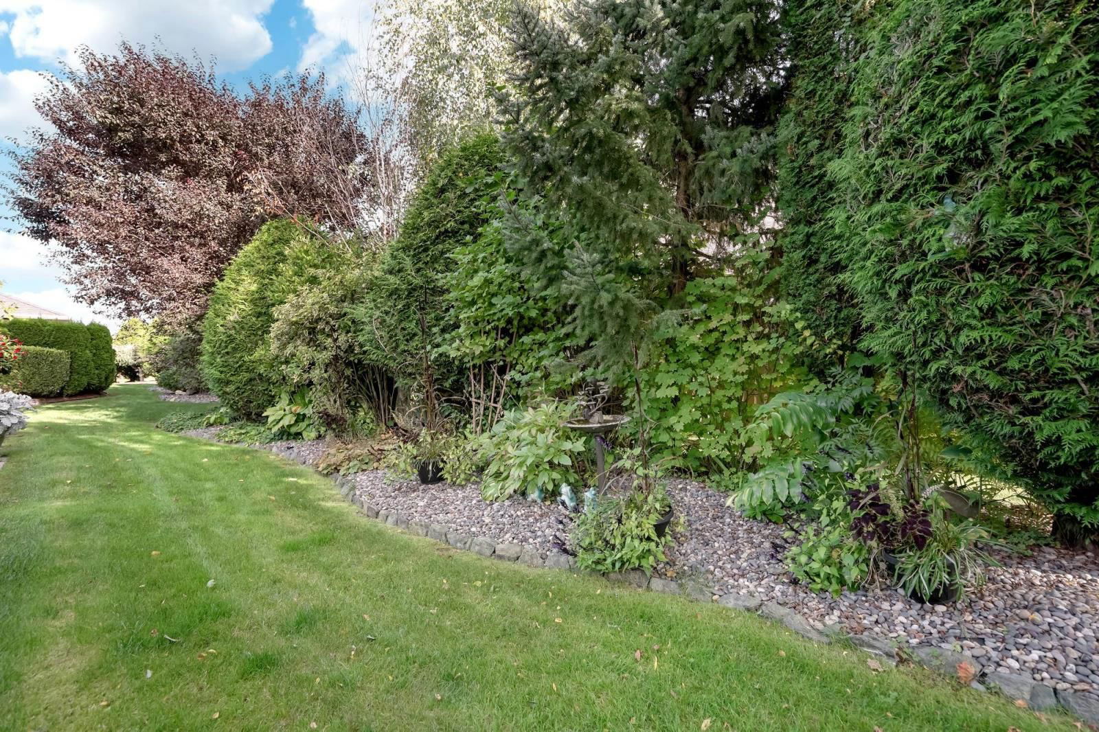 52 - 46000 THOMAS ROAD Image 31