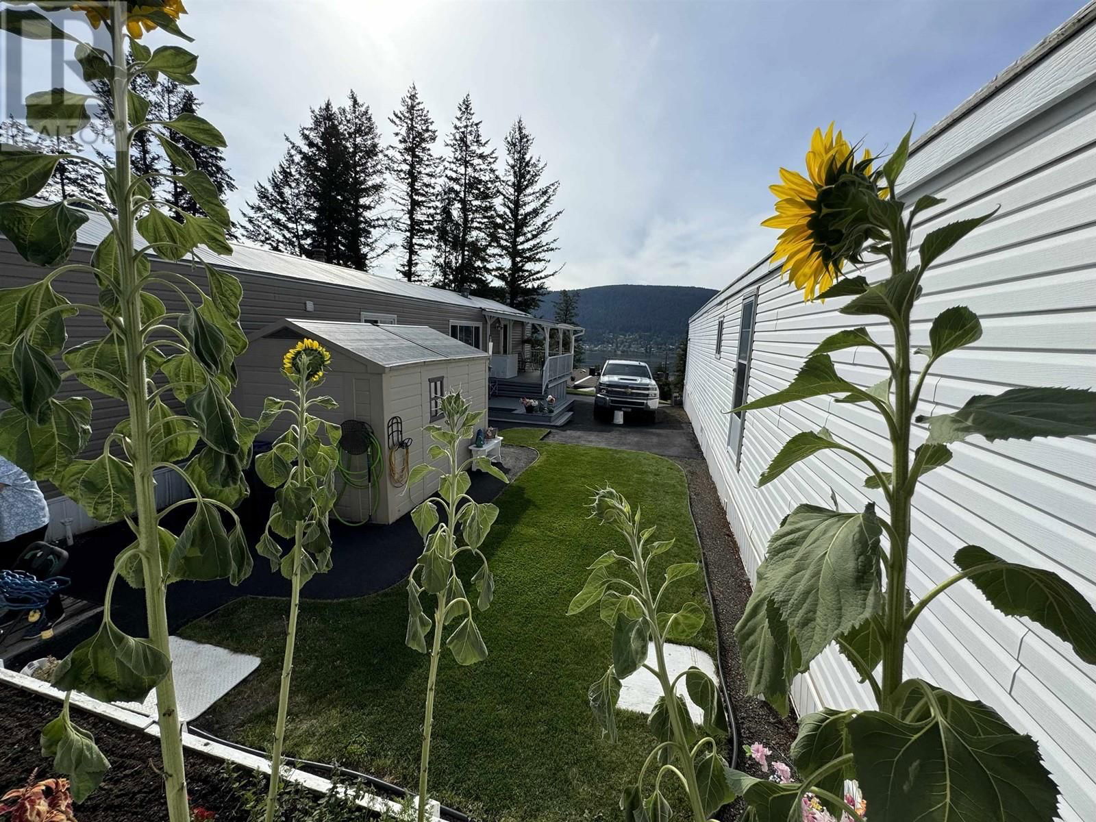 Primary Property View