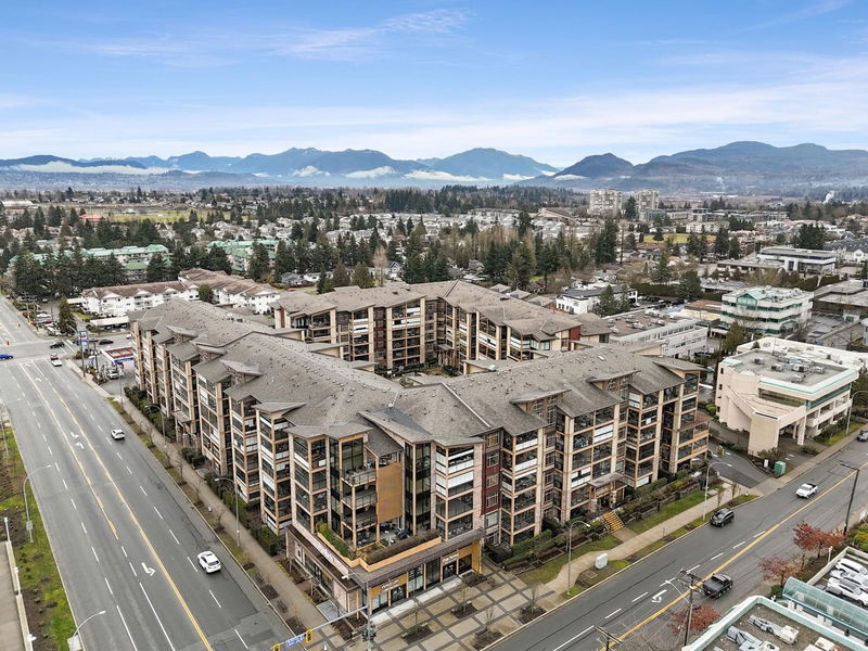 Tertiary Property View