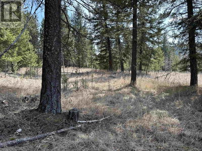 Commercial for Sale in British-columbia