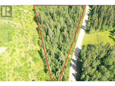 LOT 1 TEN MILE LAKE Road | Quesnel British Columbia | Slide Image Four