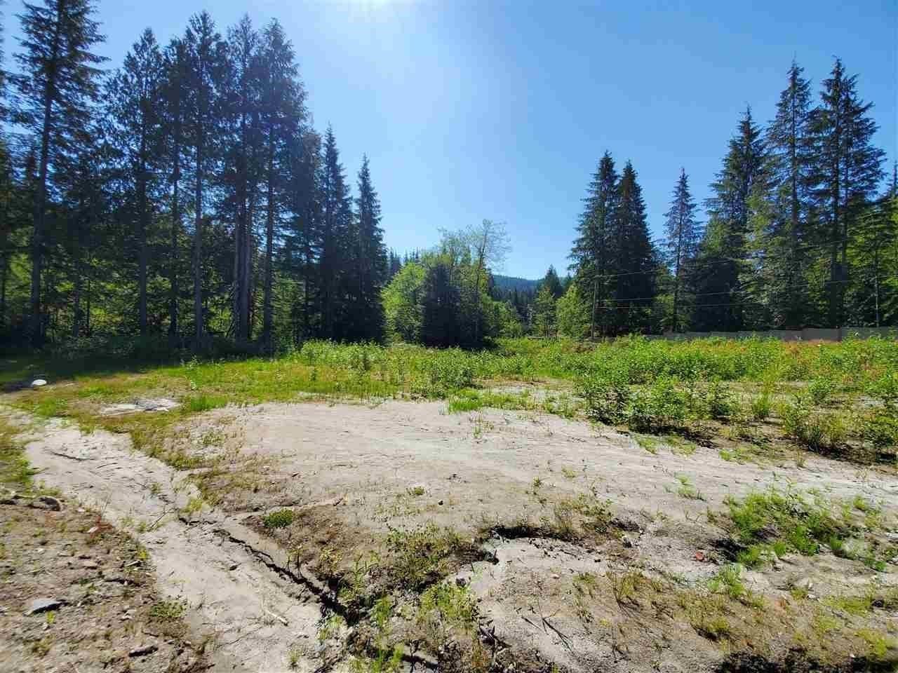 Primary Property View