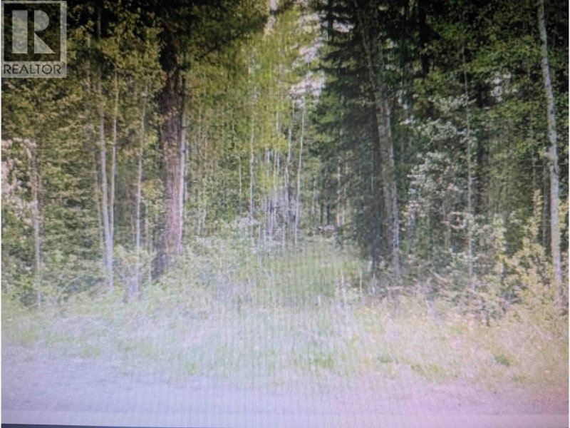 LOT 24 KOKANEE Road Canim Lake British Columbia, V0K 1J0 - Vacant Land For Sale