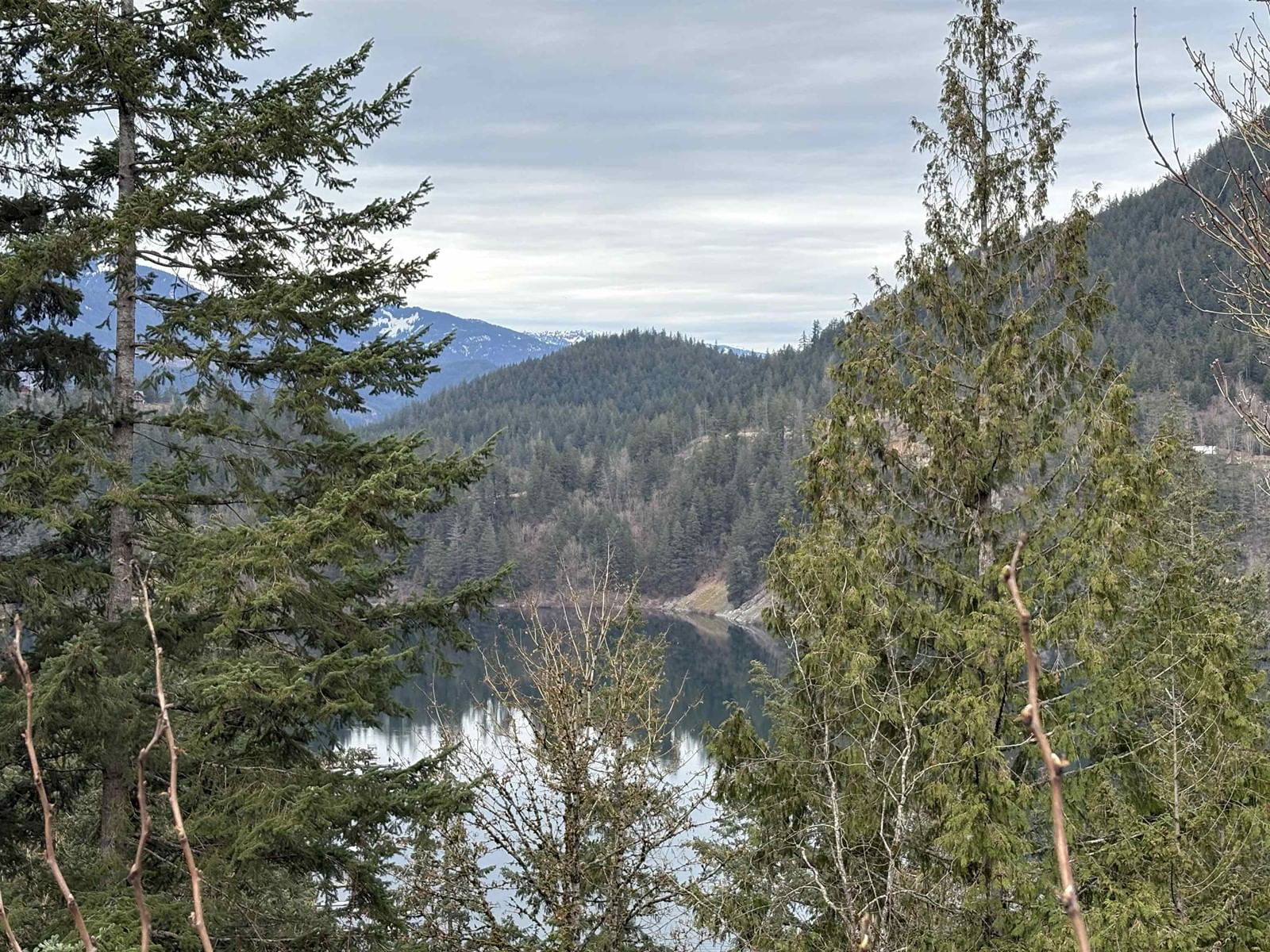 Primary Property View