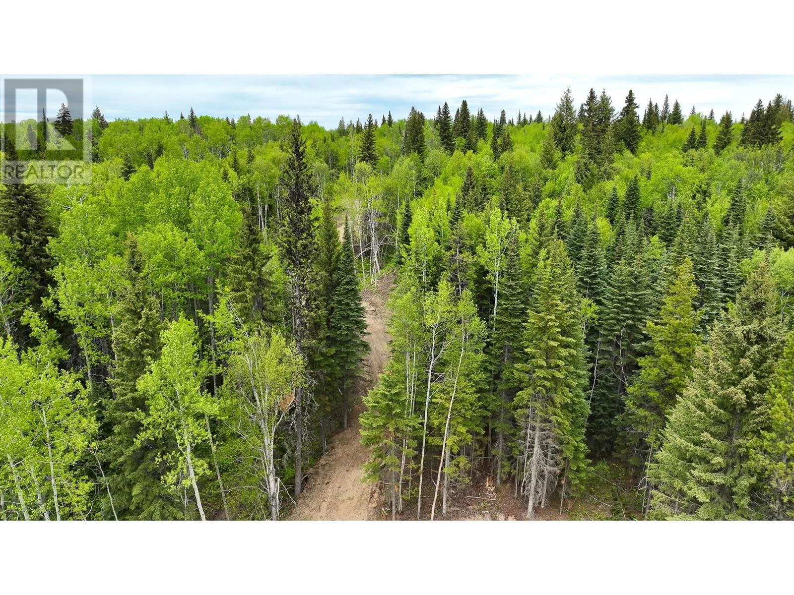 DL - 962 NESS LAKE ROAD Image 8