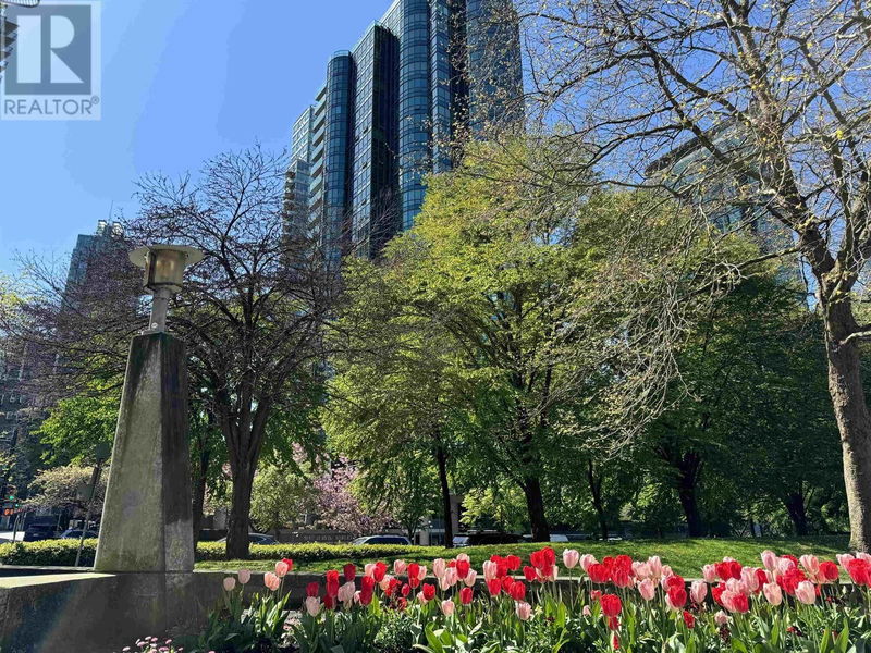 Tertiary Property View