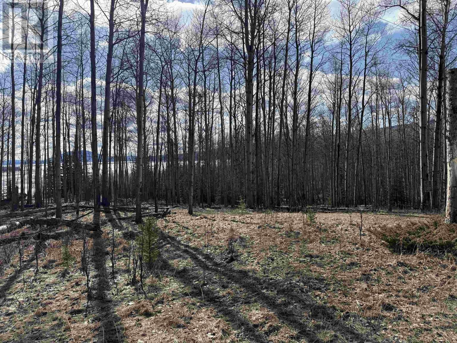 LOT 17 ASPEN RIDGE DRIVE Image 12