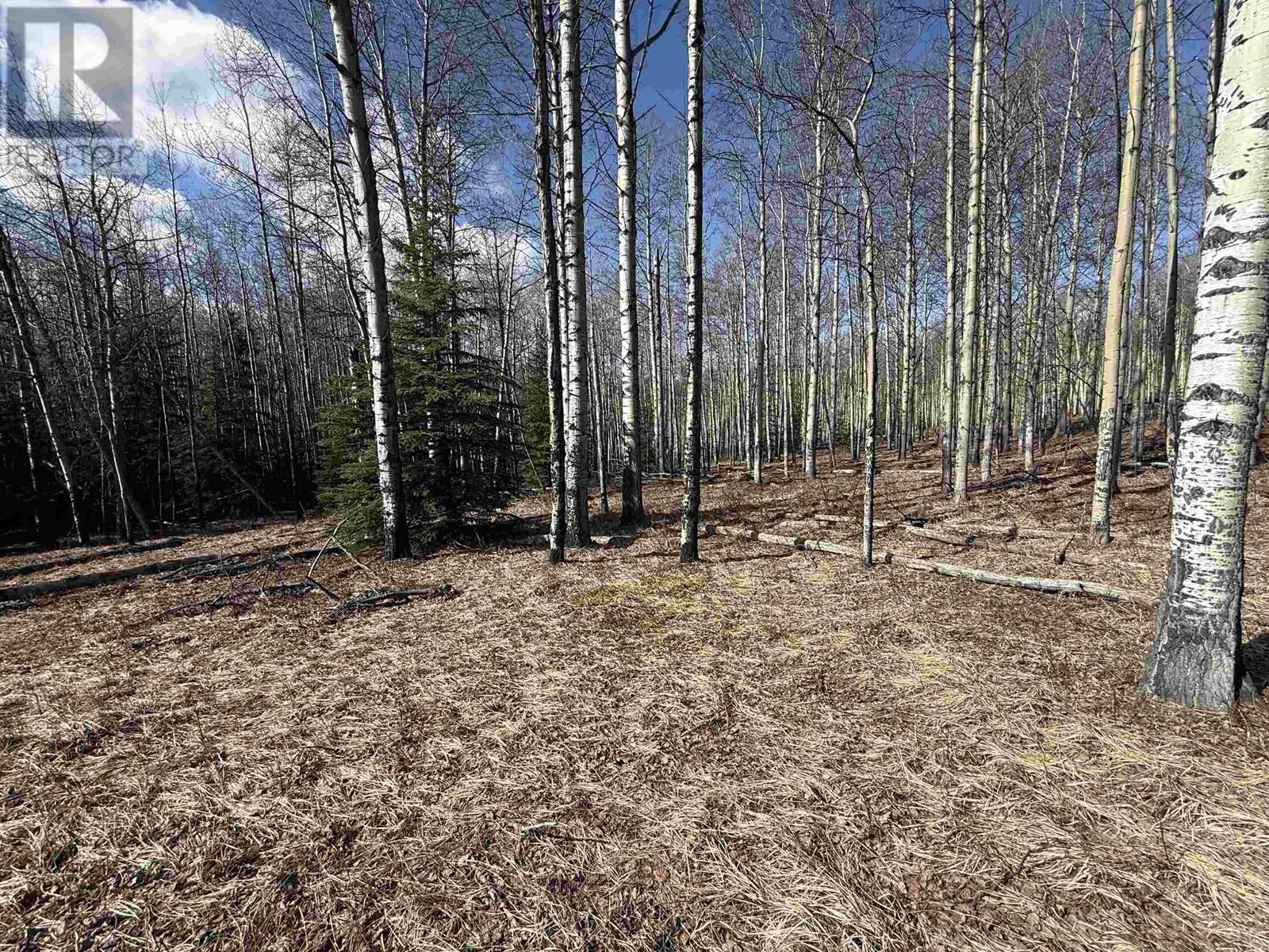 LOT 17 ASPEN RIDGE DRIVE Image 6