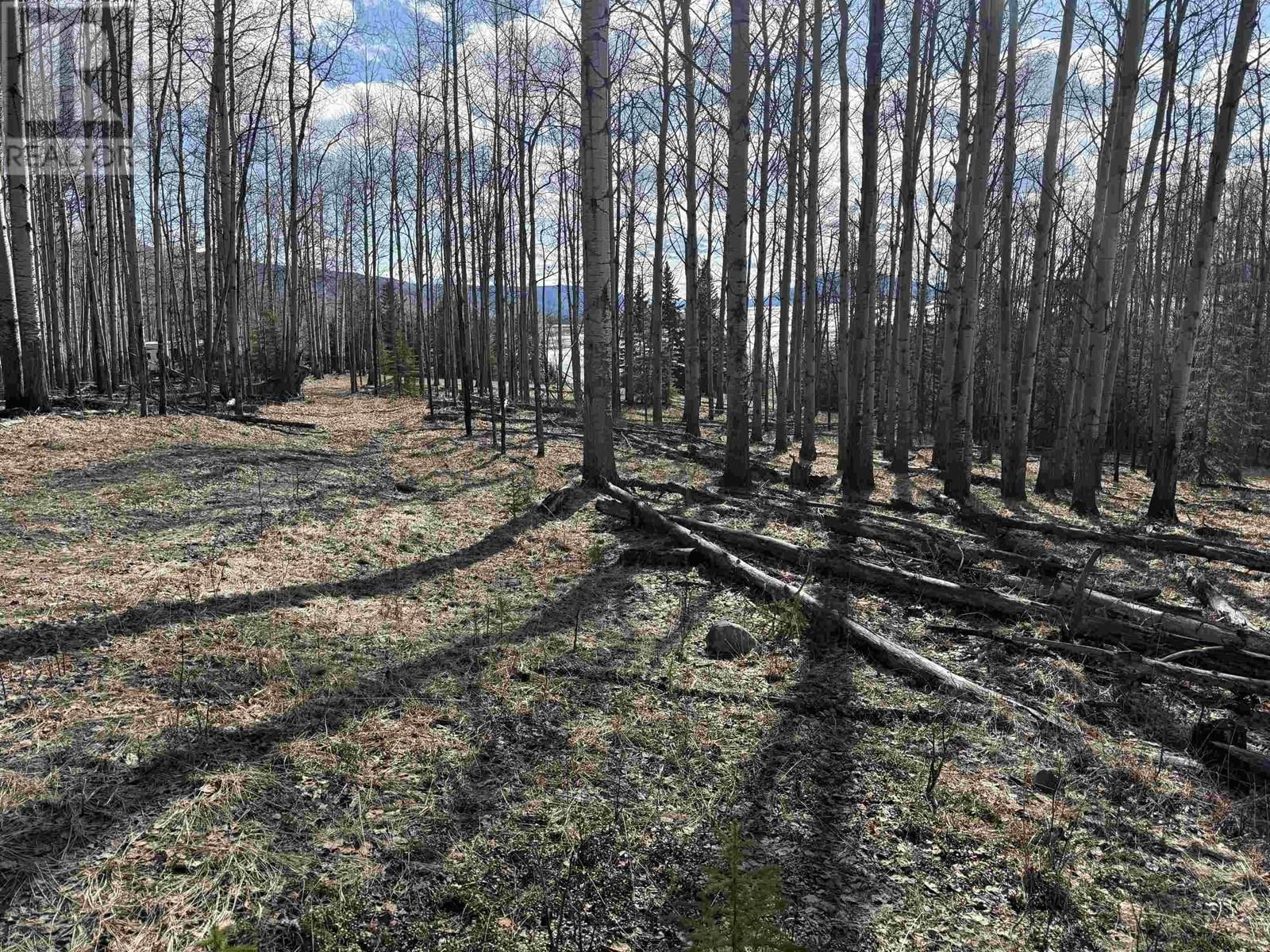 LOT 17 ASPEN RIDGE DRIVE Image 8