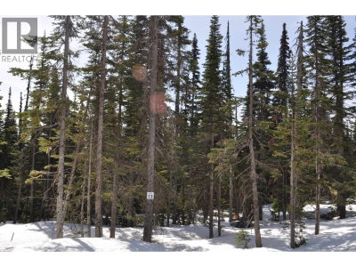 Lt 13 ALPINE Way | Smithers British Columbia | Slide Image Two
