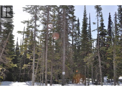 Lt 13 ALPINE Way | Smithers British Columbia | Slide Image Three