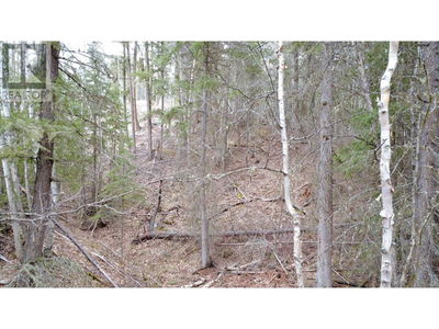 Commercial for Sale in British-columbia