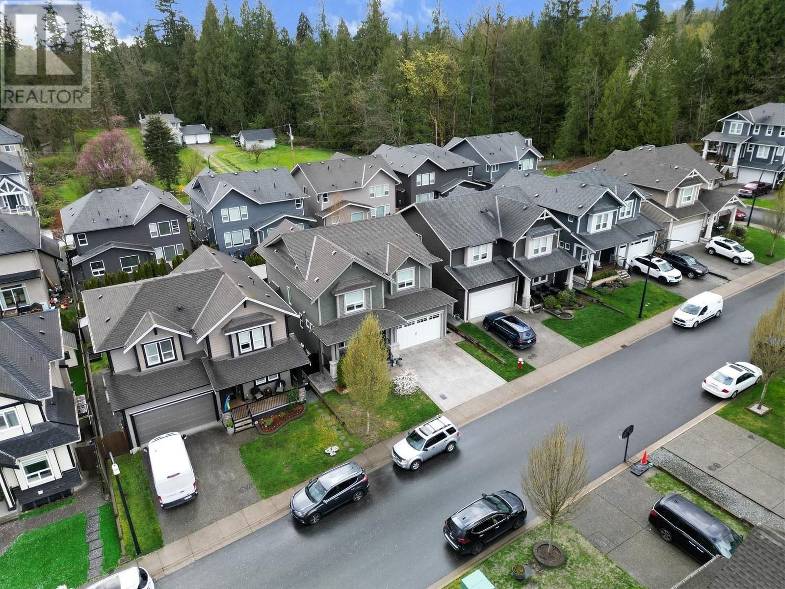 11257 243A STREET Image 36